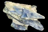 Vibrant Blue Kyanite Crystals In Quartz - Brazil #118845-1
